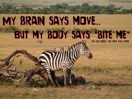 85a69a6bdfc41bb4bbeb2a2a2770117a