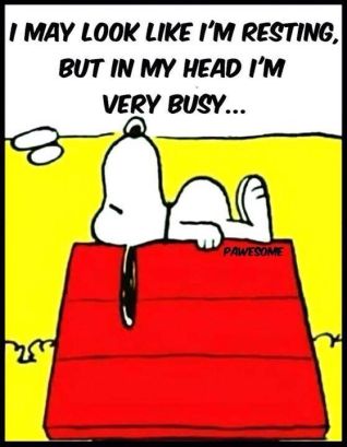 bb519b450b0db580331581e9ae0b5786