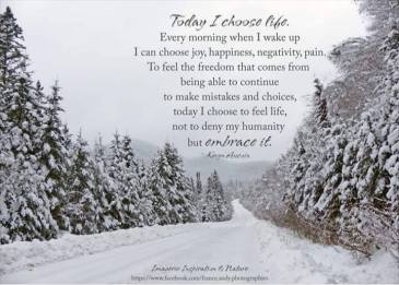 48977535_10218955469976687_768825323809669120_n